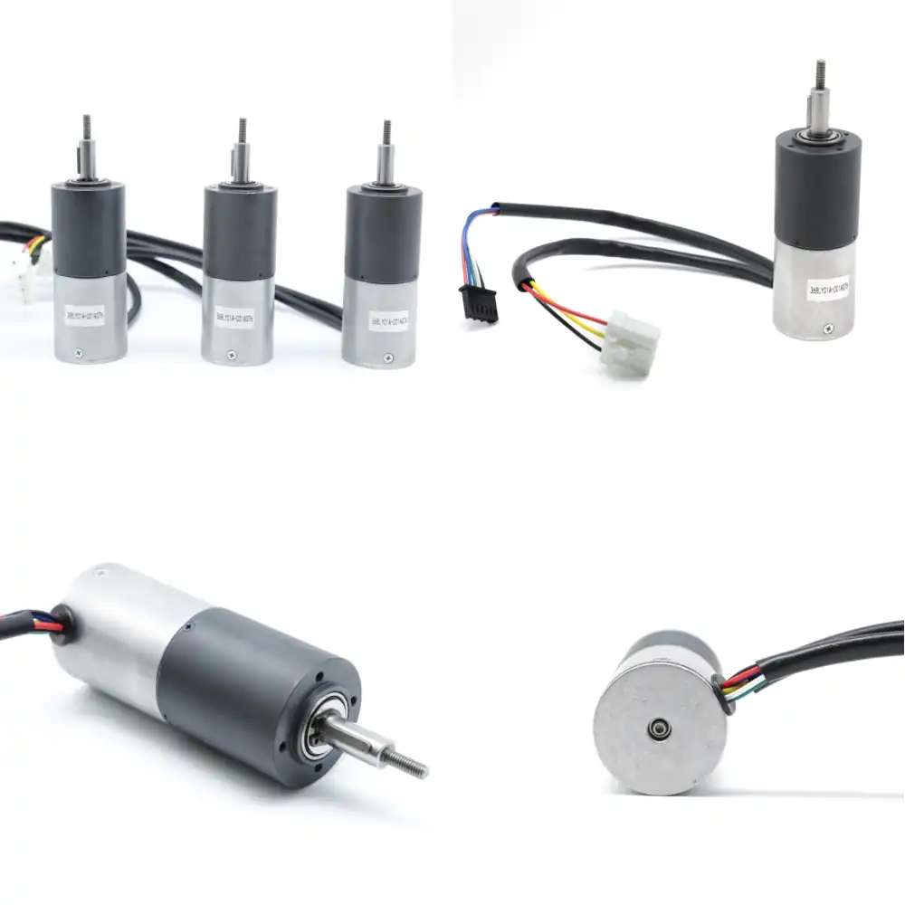 36BLY01A-001AG76 für Rasenmähe – Bldc Planetary Gear Motor 48V High Torque Bewertung und Preis